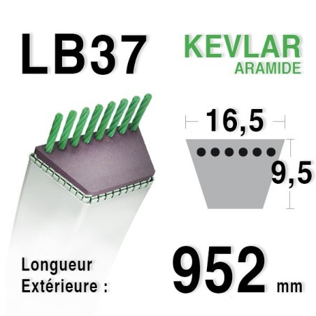 Courroie lb37 - 16,5 mm x 952 mm