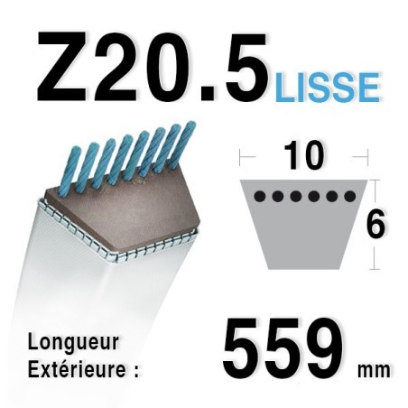 Courroie Z20,5 - 10 mm x 559 mm