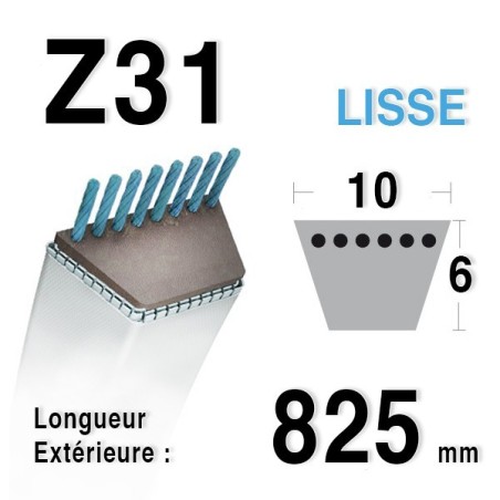 Courroie Z31 - 10 mm x 825 mm