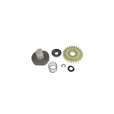 Kit nez de démarreur BRIGGS et STRATTON 490768 - 499308