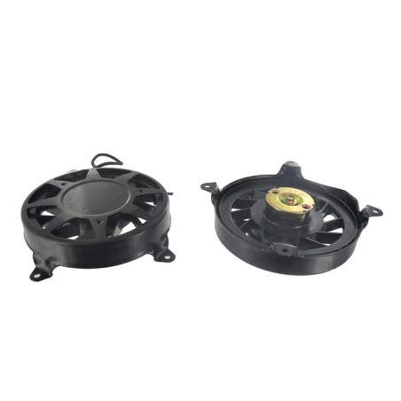 Lanceur complet BRIGGS et STRATTON 801242 - 80010472