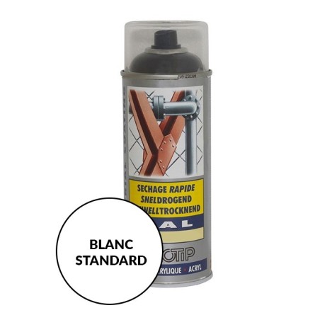 Peinture spéciale motoculture couleur BLANC STANDARD - Aérosol 400ml