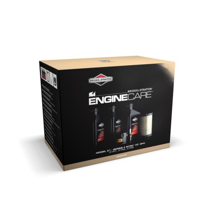 Kit d'entretien BRIGGS ET STRATTON 992243 pour moteur série 4 modèle 31