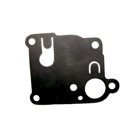 Membrane pompe BRIGGS ET STRATTON 270253