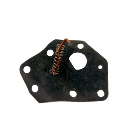 Membrane pompe BRIGGS ET STRATTON 299637