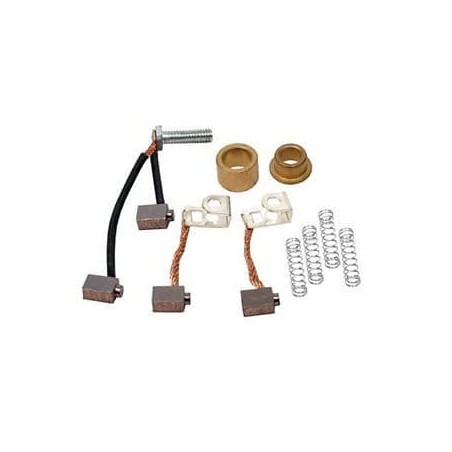 Kit jeu de charbons 395538 démarreur BRIGGS ET STRATTON