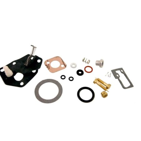 Kit réparation BRIGGS ET STRATTON 494622