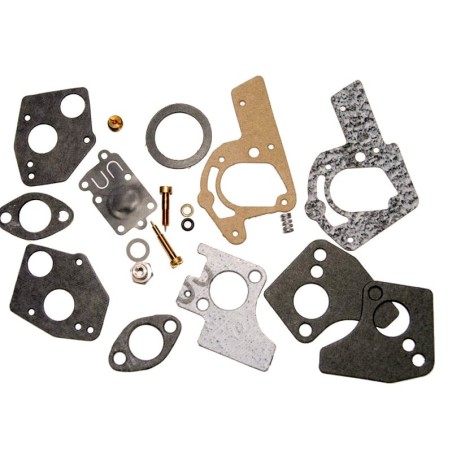 Kit réparation BRIGGS ET STRATTON 495606