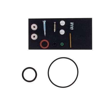 Kit réparation carburateur BRIGGS ET STRATTON 492077 - 494349