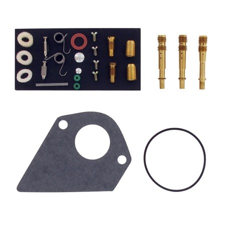 Kit réparation carburateur BRIGGS ET STRATTON 499220