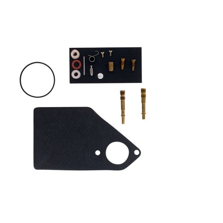 Kit réparation carburateur BRIGGS ET STRATTON 497041 - 497578