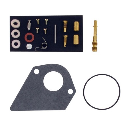 Kit réparation carburateur BRIGGS ET STRATTON 497481 - 496622