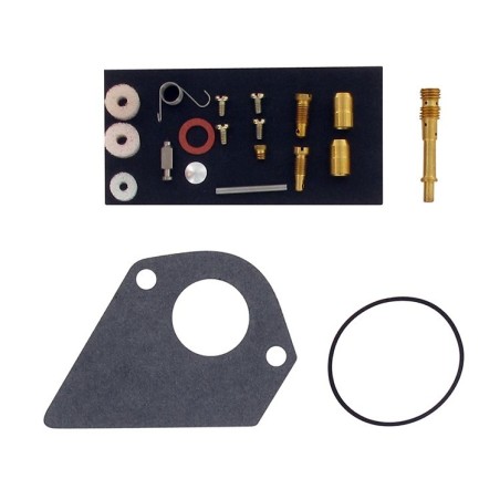 Kit réparation carburateur BRIGGS ET STRATTON 498116