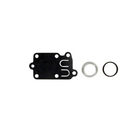 Kit membrane, ressort et joint BRIGGS ET STRATTON 270026