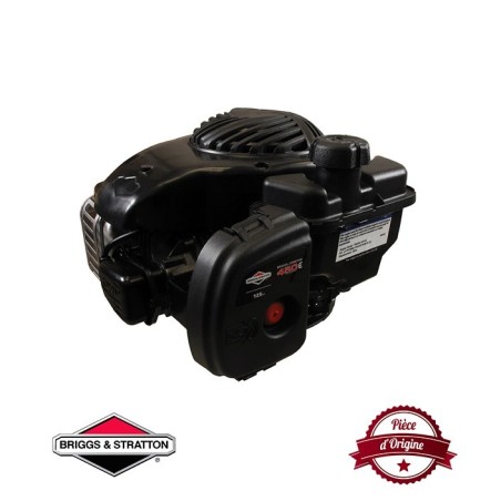 Moteur complet BRIGGS ET STRATTON 131cc OHV 450E