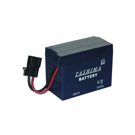 Batterie FBT19 pour  modèles TECUMSEH