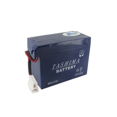 Batterie HD1230 connexion spéciale pour HONDA