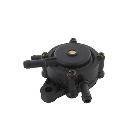 Pompe à essence BRIGGS ET STRATTON 491922 - 808656