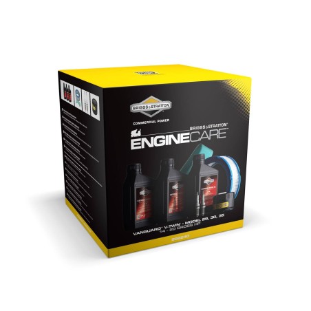 Kit d'entretien BRIGGS ET STRATTON 992240