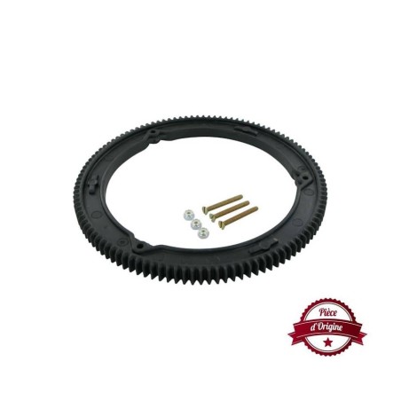 Couronne de démarreur Briggs et Stratton 499612