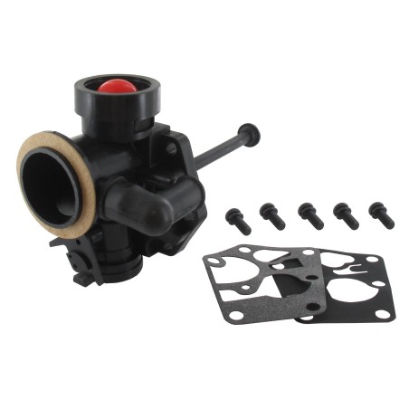 Carburateur BRIGGS ET STRATTON 798758