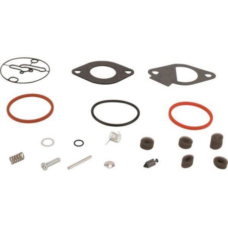 Kit réparation Briggs et Stratton - Nikki 796184