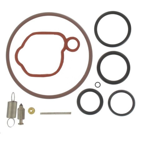 Kit réparation carburateur Briggs et Stratton 590589