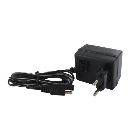 Chargeur de batterie GGP - CASTELGARDEN 118204120/1LC