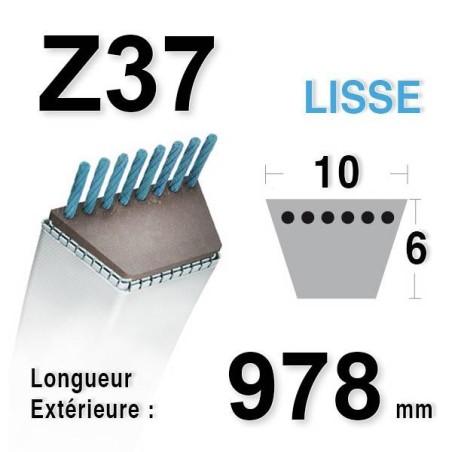 Courroie 10mm x 978mm - Z37