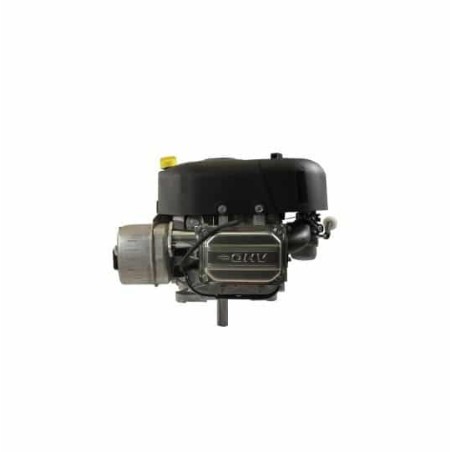 Moteur complet BRIGGS ET STRATTON 344cc