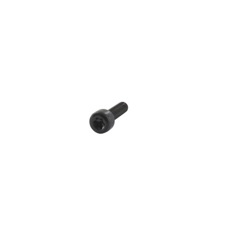 Vis à tête creuse Torx M5x18mm GGP - CASTELGARDEN 123878081/0