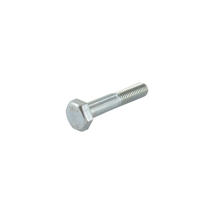 Vis héxagonale M10 x 55 mm GGP - CASTELGARDEN 112692390/0