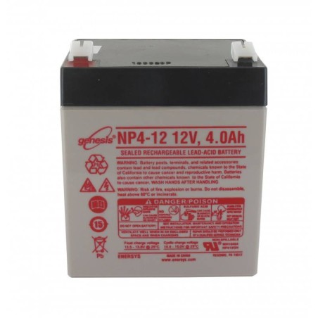 Batterie MTD 725-04903