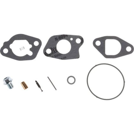 Kit de révision du carburateur BRIGGS ET STRATTON 591770