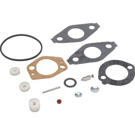 Kit carburateur BRIGGS ET STRATTON 695157 - 695156