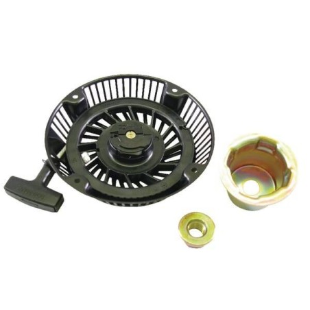 Lanceur BRIGGS ET STRATTON 808153