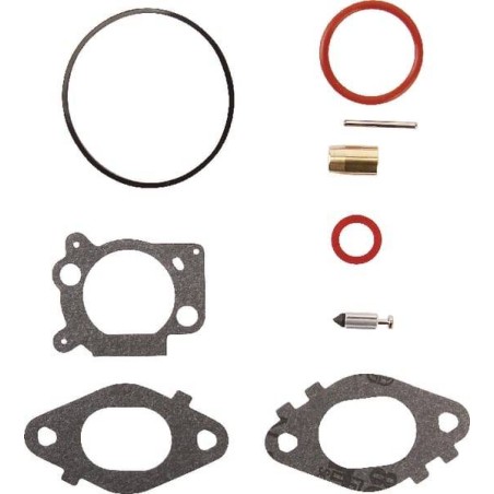 Kit carburateur BRIGGS ET STRATTON 592172