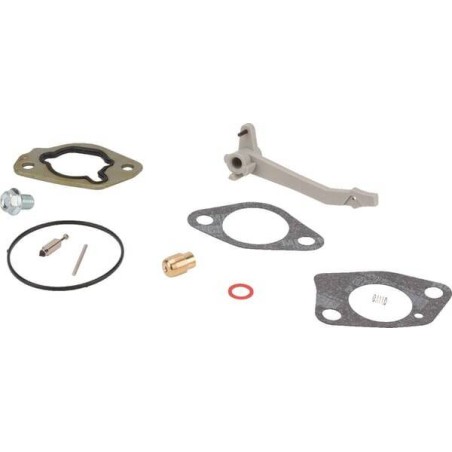 Kit révision carburateur BRIGGS ET STRATTON 590453