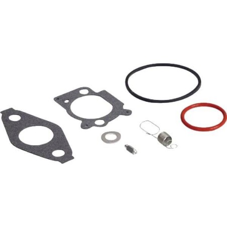 Kit révision carburateur BRIGGS ET STRATTON 592483