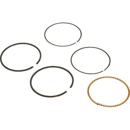 Kit de segments BRIGGS ET STRATTON 590523