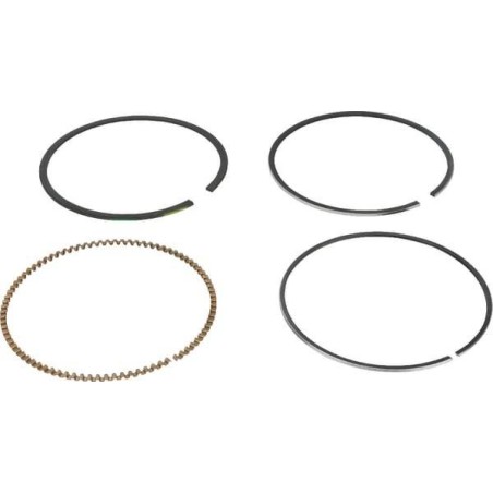 Kit de segments BRIGGS ET STRATTON 591286