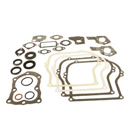 Kit de joints BRIGGS ET STRATTON 495603