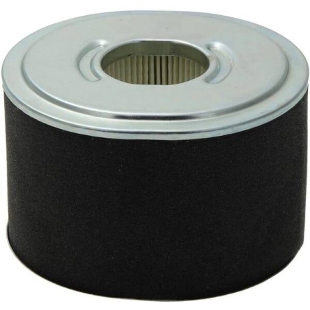 Filtre à air rond BRIGGS ET STRATTON 592605