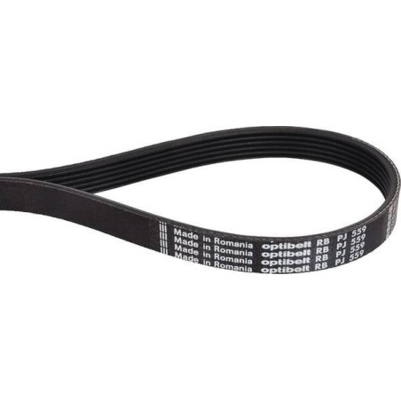 Courroie OPTIBELT 6PJ559