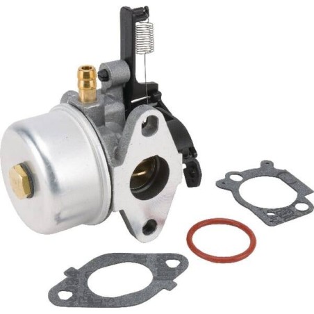 Carburateur BRIGGS ET STRATTON 591137