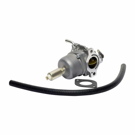 Carburateur BRIGGS ET STRATTON 591731 - 796109