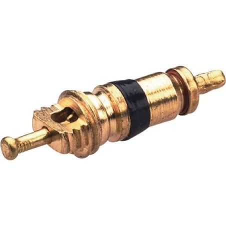 Obus de valve REMA TIP TOP 5620045