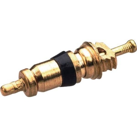 Obus de valve REMA TIP TOP 5620045