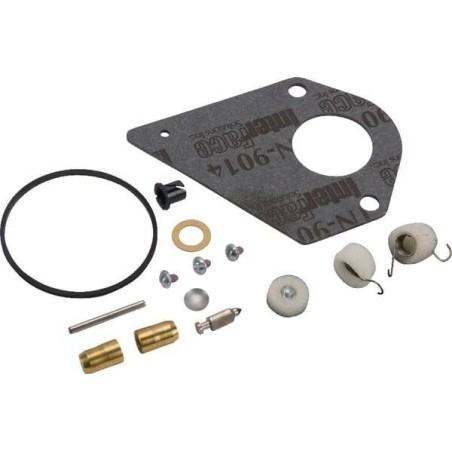 Kit réparation carburateur BRIGGS ET STRATTON 697884