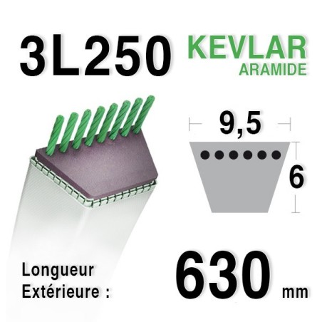 Courroie 3l25 - 9,5 mm x 630 mm